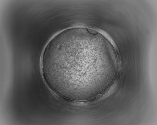 X0000102461101200808151402