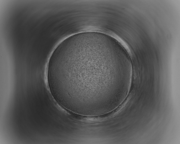 X0000102461102200808151402