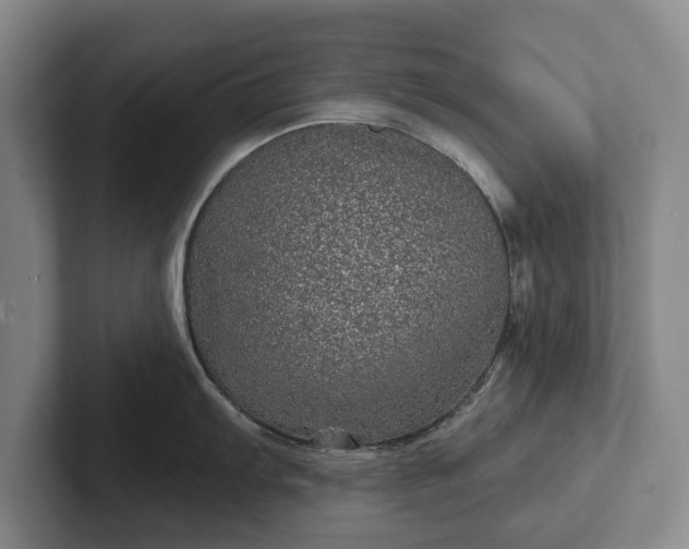 X0000102461103200808151402