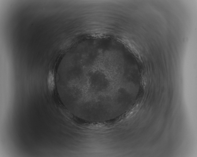 X0000102461106200808151401