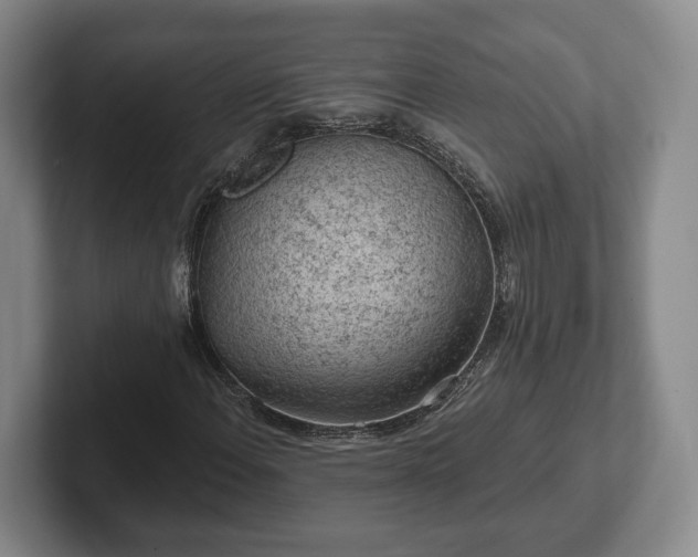 X0000102461108200808151401