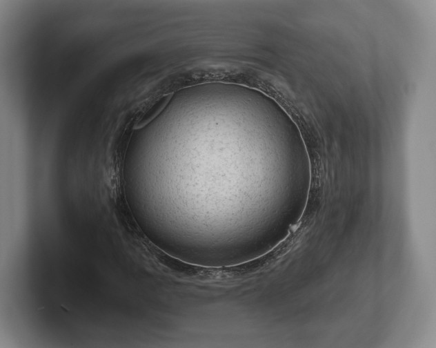 X0000102461109200808151401