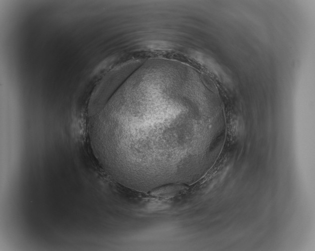 X0000102461110200808151401