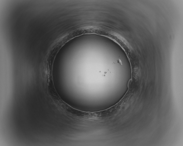 X0000102461111200808151401