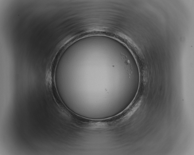 X0000102461113200808151401