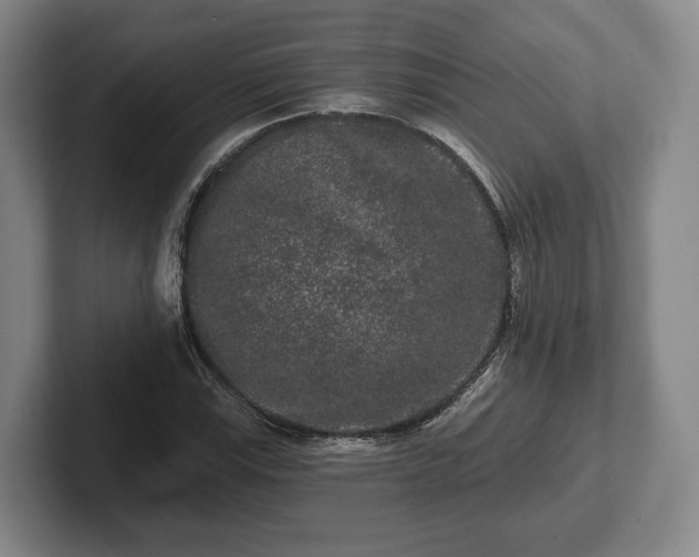 X0000102461115200808151401