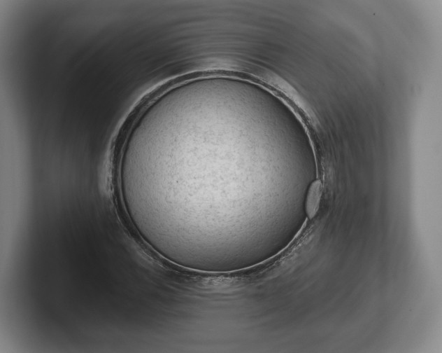 X0000102461116200808151401