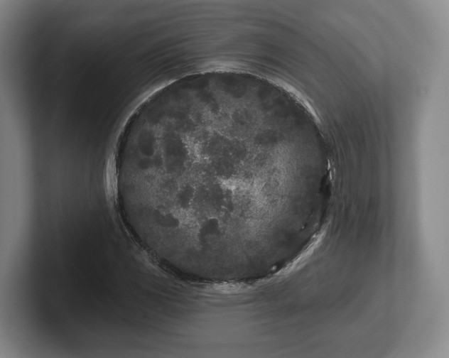 X0000102461117200808151401