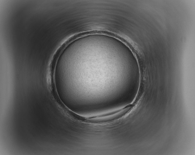 X0000102461118200808151402