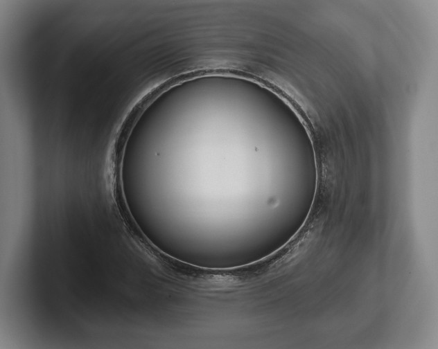 X0000102461119200808151402