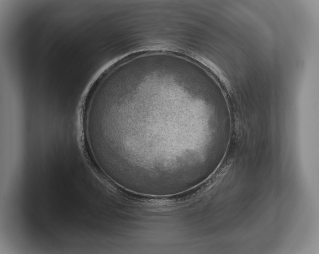 X0000102461120200808151402