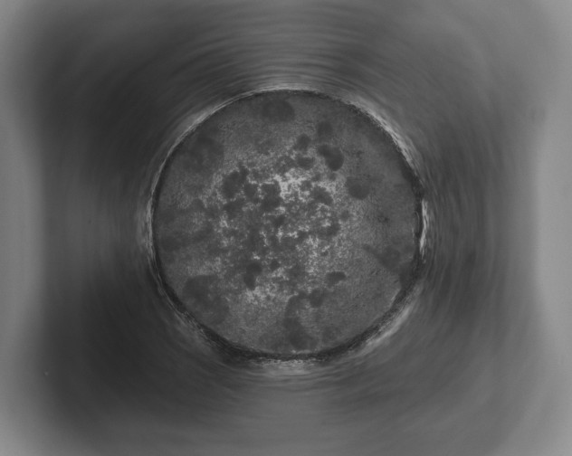 X0000102461121200808151402