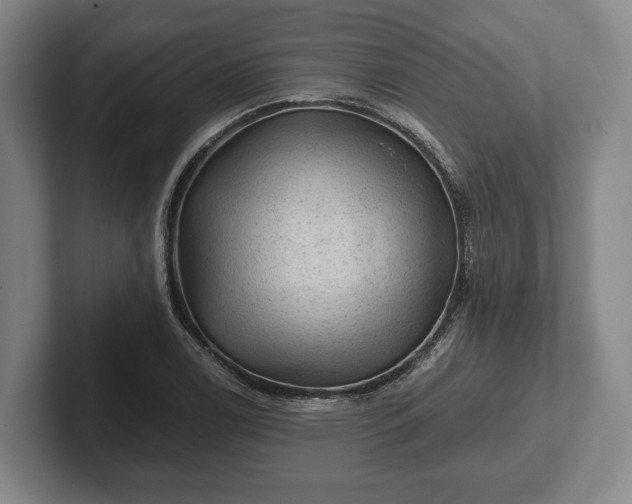 X0000102461122200808151402