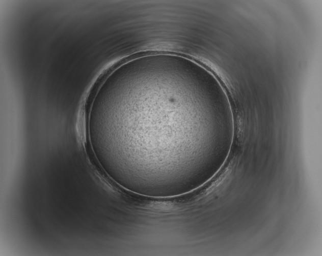 X0000102461123200808151402