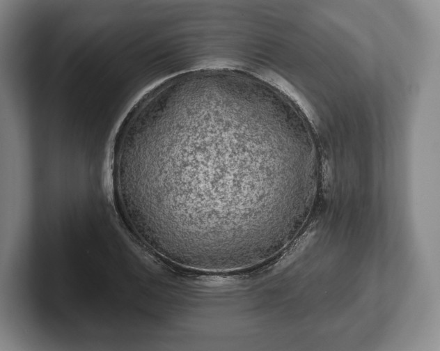 X0000102461124200808151402