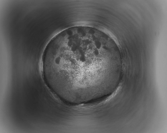 X0000102461125200808151402