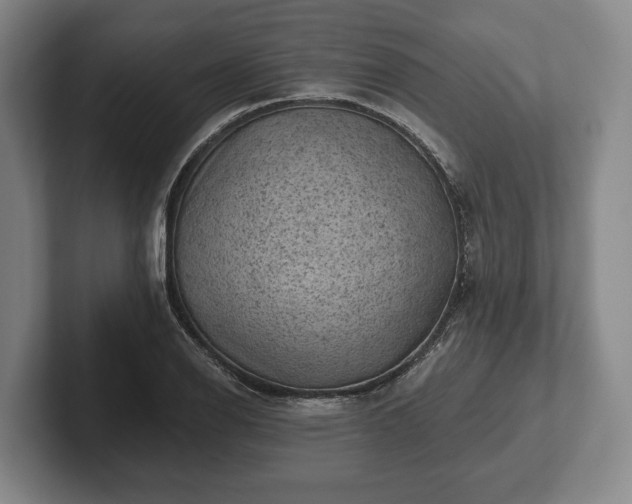 X0000102461126200808151402