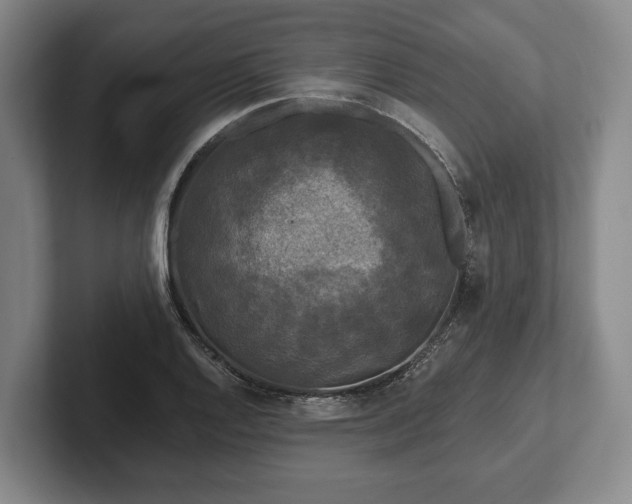 X0000102461128200808151402