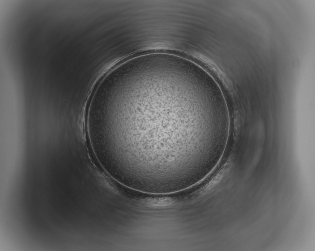 X0000102461129200808151402