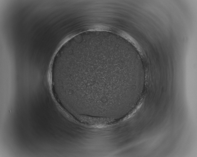 X0000102461130200808151402