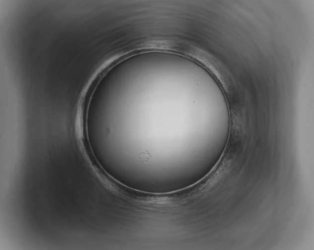 X0000102461131200808151402