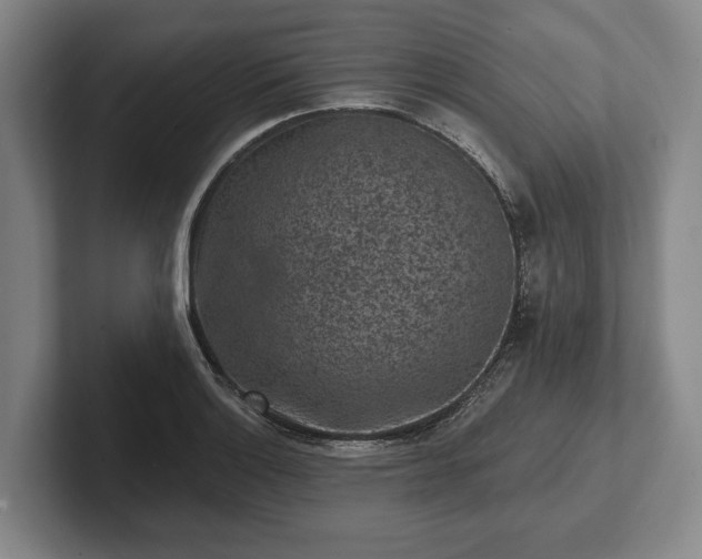 X0000102461132200808151402