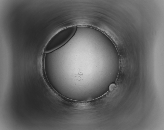 X0000102461134200808151402