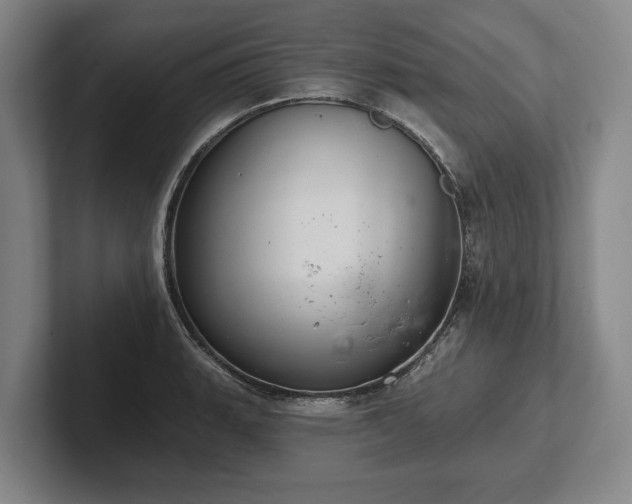 X0000102461135200808151402