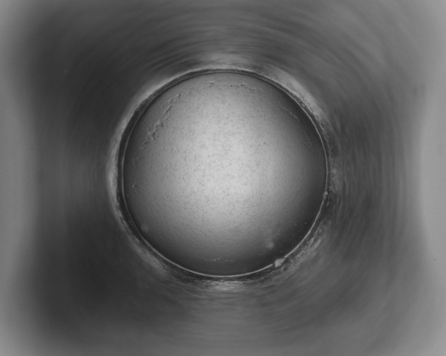 X0000102461136200808151402