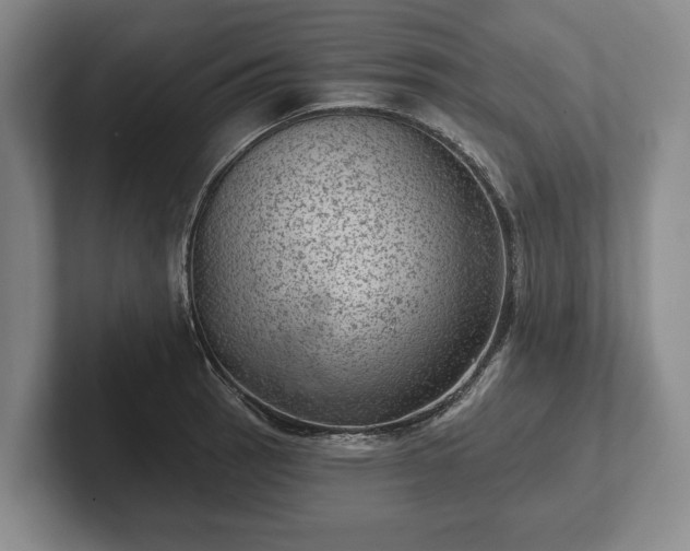 X0000102461137200808151402