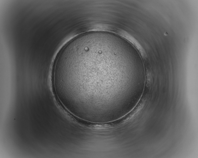 X0000102461138200808151402