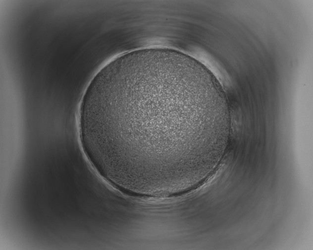 X0000102461142200808151402