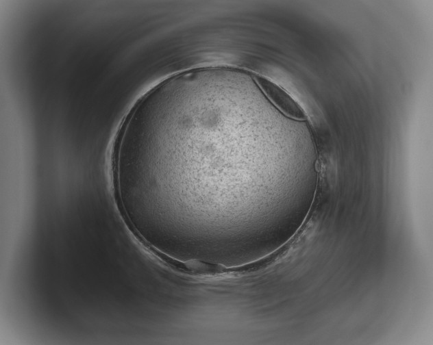 X0000102461143200808151402