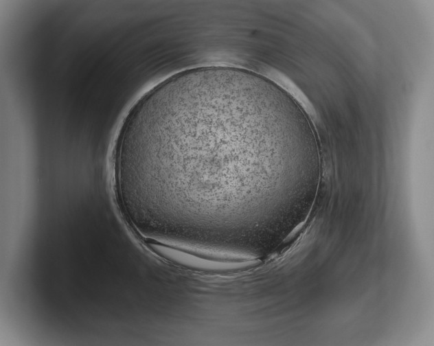 X0000102461144200808151402