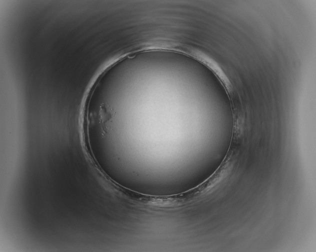 X0000102461146200808151402