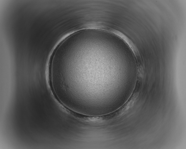 X0000102461147200808151402