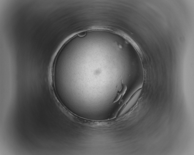 X0000102461148200808151402