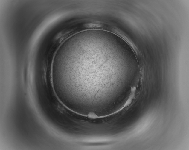 X0000102461151200808151402