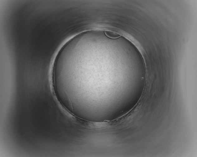 X0000102461152200808151402