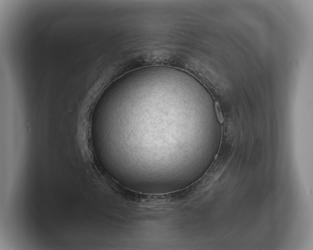 X0000102461153200808151401