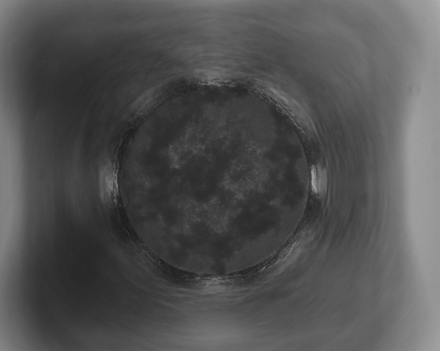 X0000102461155200808151401