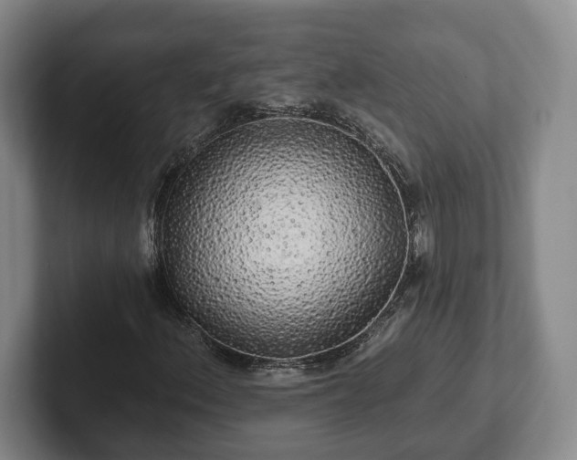 X0000102461156200808151401