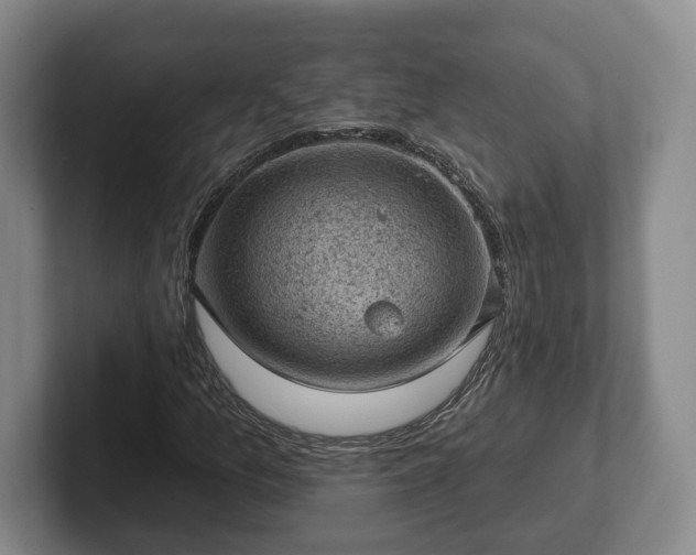 X0000102461157200808151401