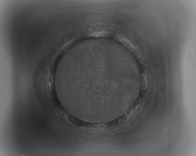 X0000102461158200808151401