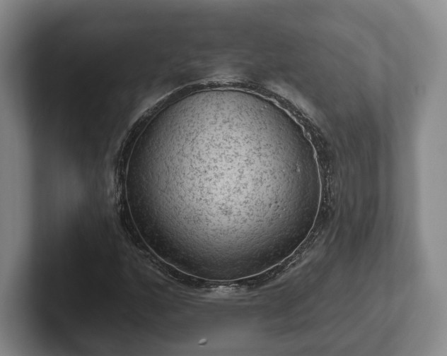 X0000102461160200808151401