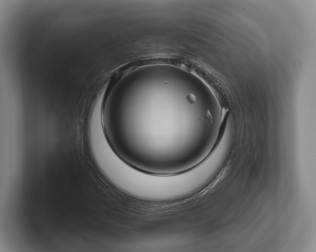 X0000102461161200808151401