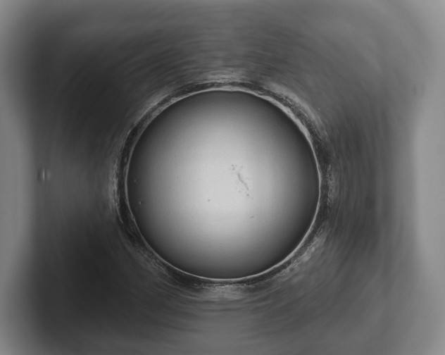 X0000102461162200808151401