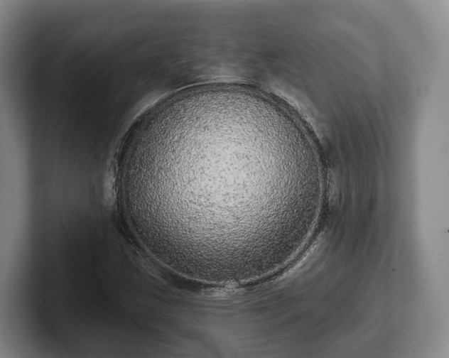 X0000102461163200808151401