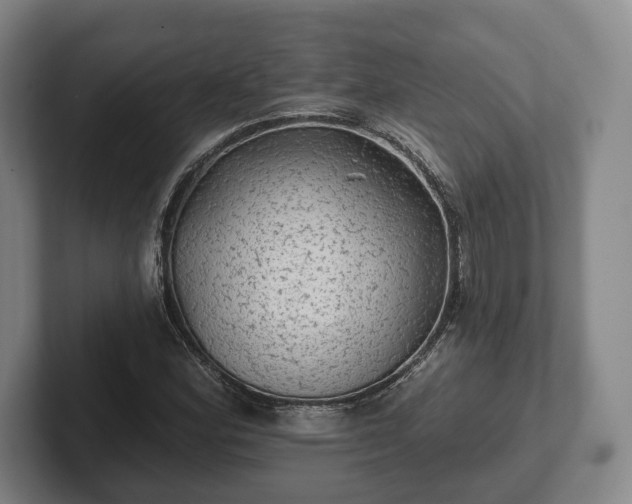 X0000102461164200808151401