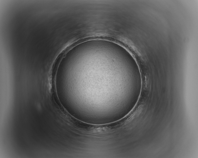 X0000102461165200808151401